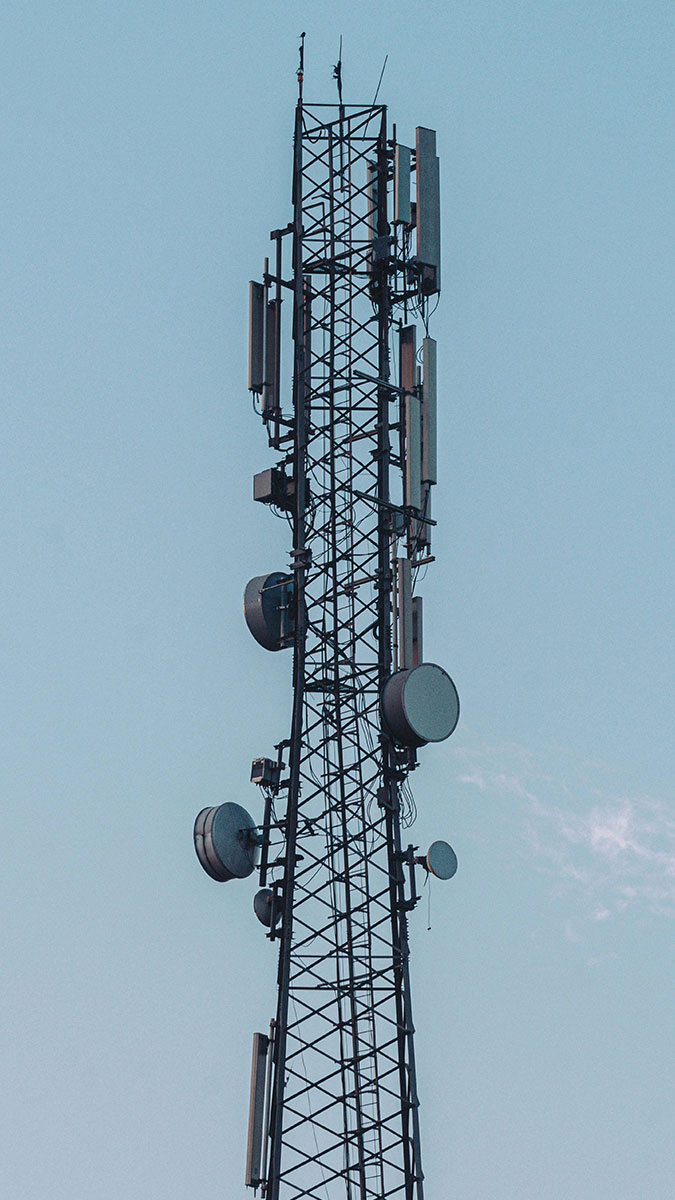 Portre fotoğraf