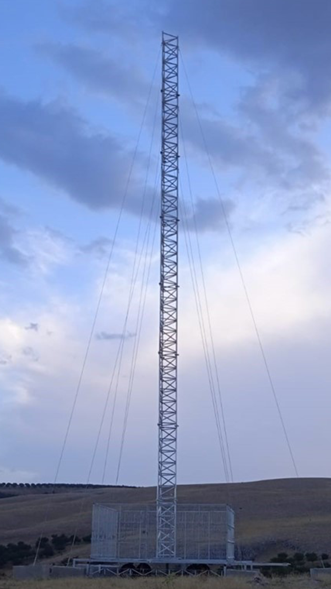 Orman yolu